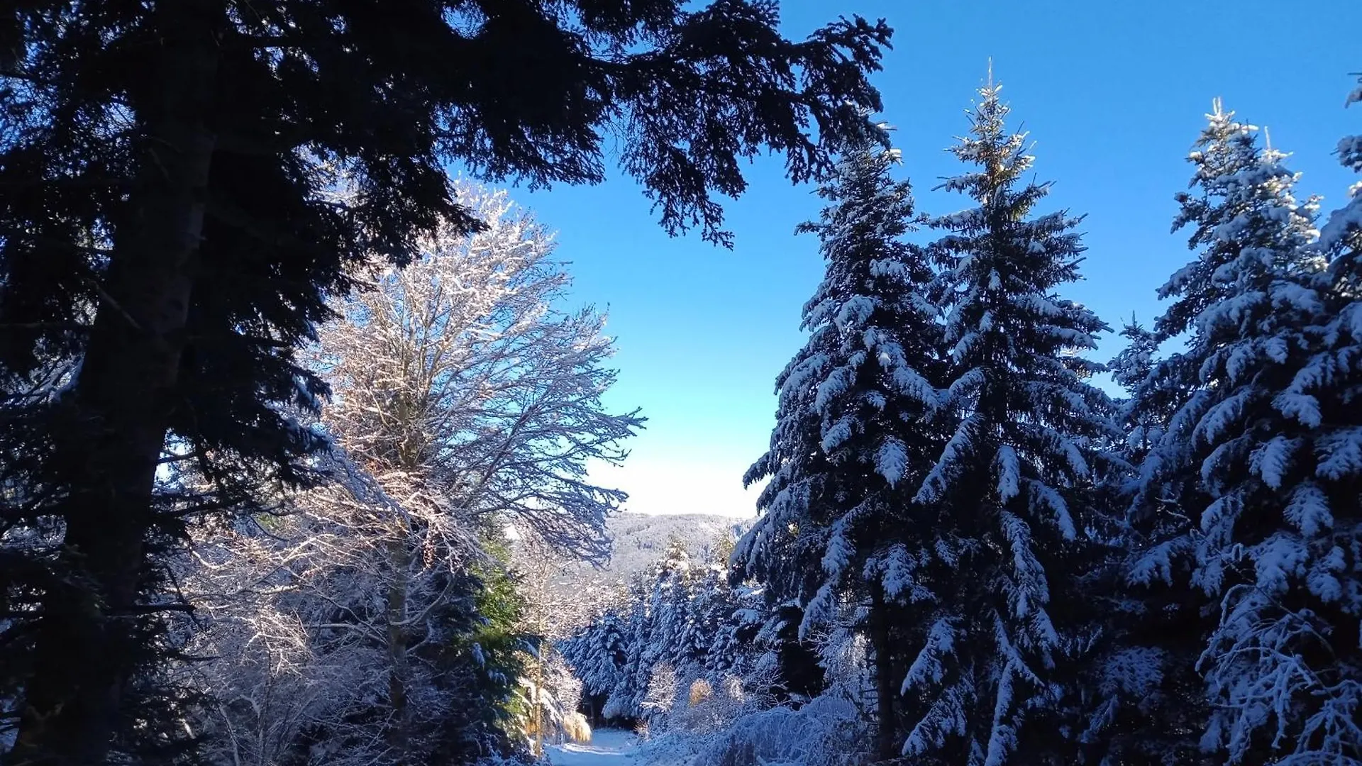 Gite Des 3 Etangs Malvieres Гостевой дом